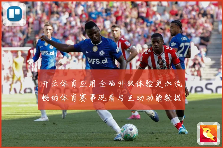 开云体育应用全面升级体验更加流畅的体育赛事观看与互动功能数据研判
