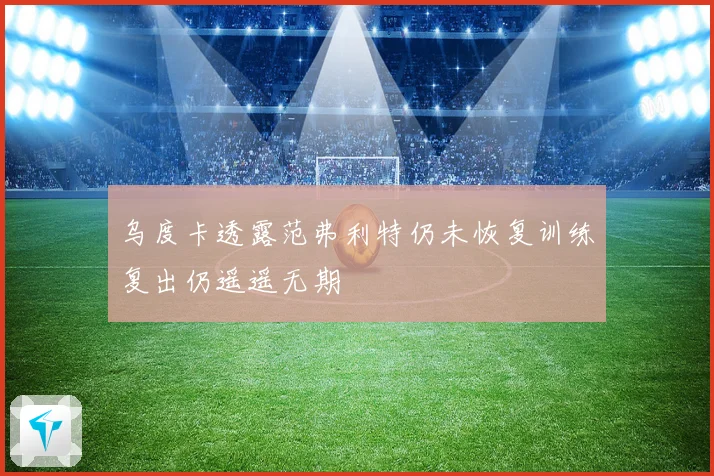 乌度卡透露范弗利特仍未恢复训练复出仍遥遥无期