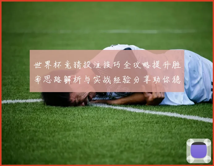 世界杯竞猜投注技巧全攻略提升胜率思路解析与实战经验分享助你稳步提高预测水平⚽